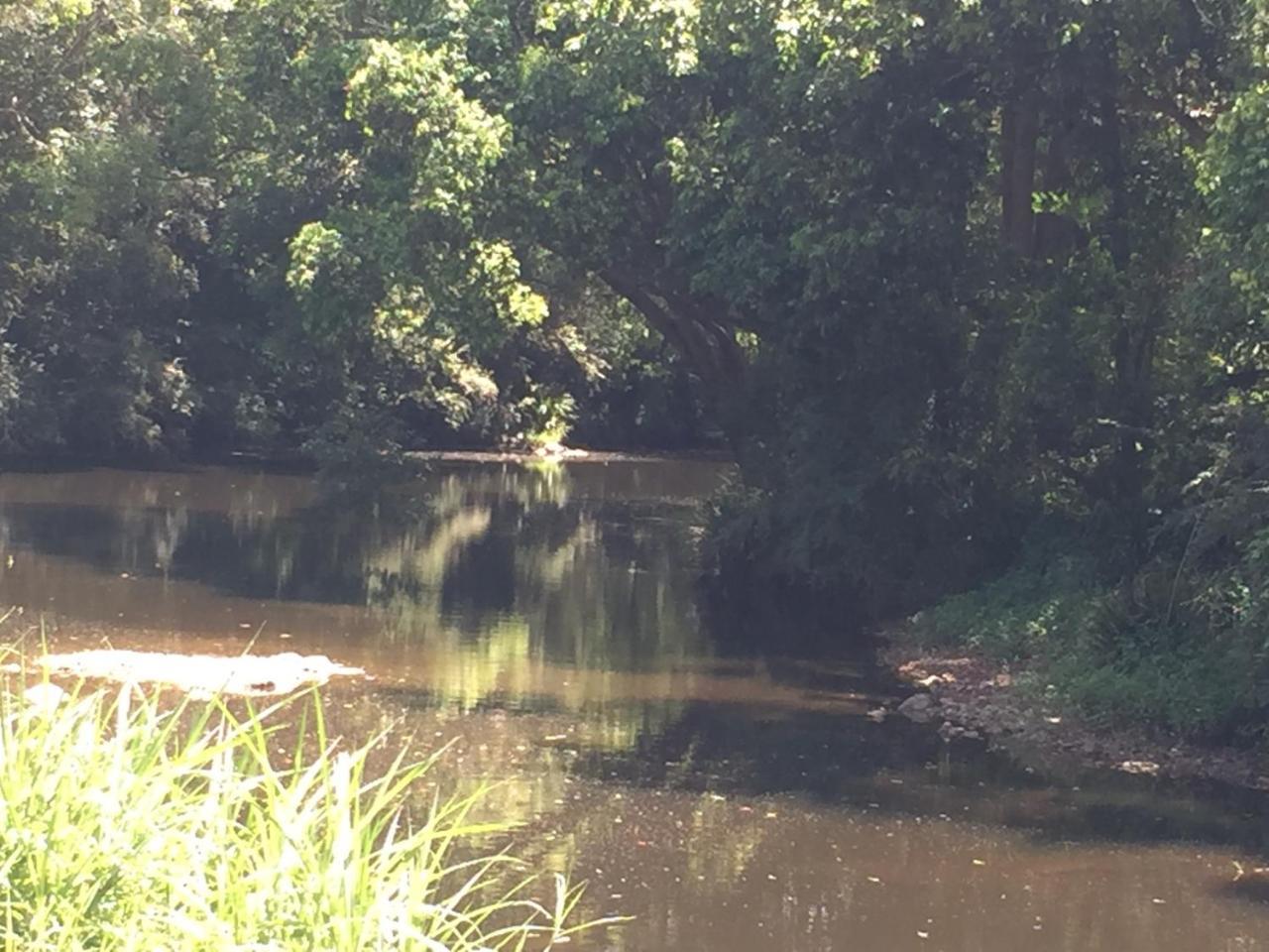 Yandina Caravan Park Экстерьер фото